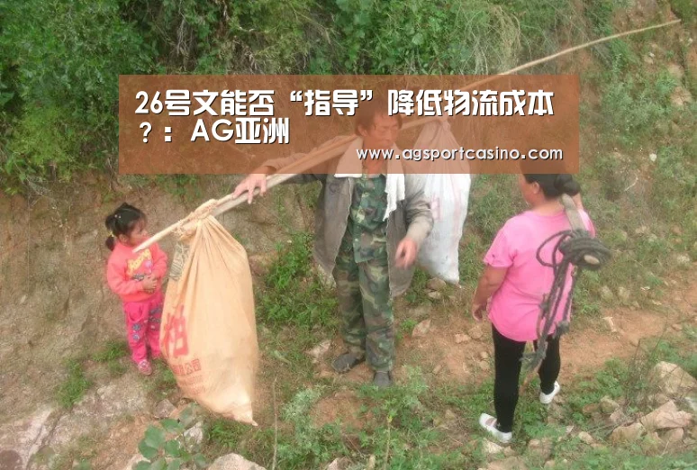 26号文能否“指导”降低物流成本?:AG亚洲(图2) AG亚洲
