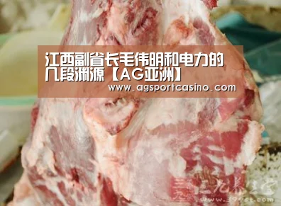 江西副省长毛伟明和电力的几段渊源【AG亚洲】(图2) AG通道