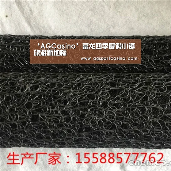 ‘AGCasino’富龙四季度假小镇 旅游新地标(图3) AG通道