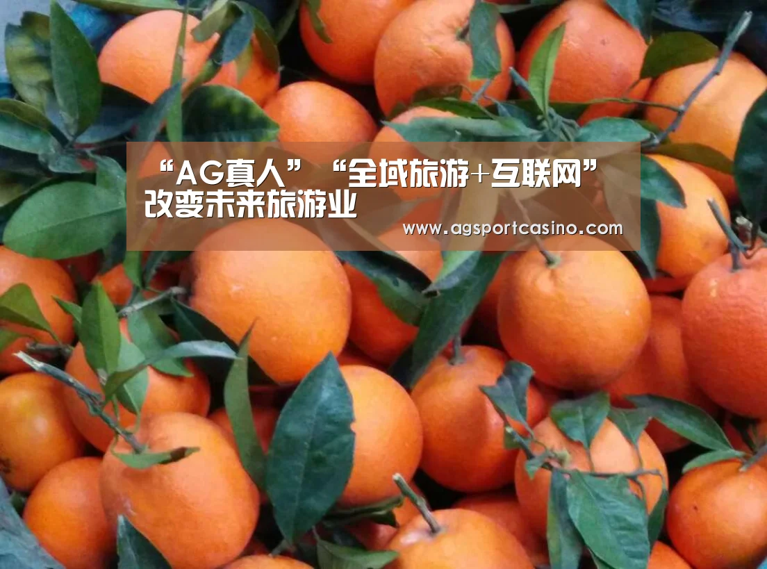“AG真人”“全域旅游+互联网”改变未来旅游业(图1) “AG真人”“全域旅游+互联网”改变未来旅游业(图1)