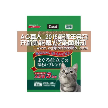 AG真人_2018能源年会召开新奥能源以泛能网推动现代能源体系落地(图3)