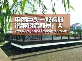 电商巨头一致看好冷链物流前景:AG亚洲(图3) AG亚洲