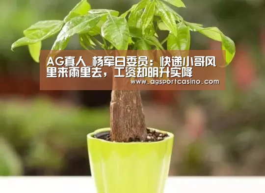 AG通道