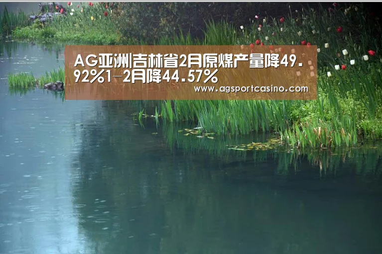 AG亚洲|吉林省2月原煤产量降49.92%1-2月降44.57%(图1) AG真人
