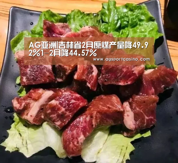 AG亚洲|吉林省2月原煤产量降49.92%1-2月降44.57%(图2) AG亚洲
