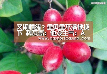 又闹情绪?里贝里不满被换下 科瓦奇:他没生气:AG真人(图2) AG真人